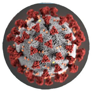 coronavirus under microscope