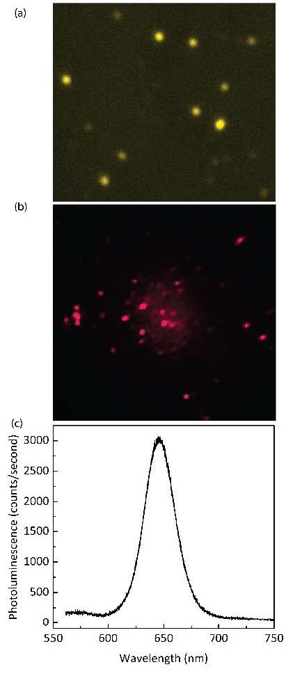 Figure 2. Example of preliminary data taken with the new microscope setup. (a) Image of individual gold nanoparticles under white light illumination. The nanoparticles are approximately ~ 50 nm. (b) Fluorescence image CdSe quantum dots, under 400 nm laser excitation and (c) Emission spectrum of the quantum dots shown in (b).