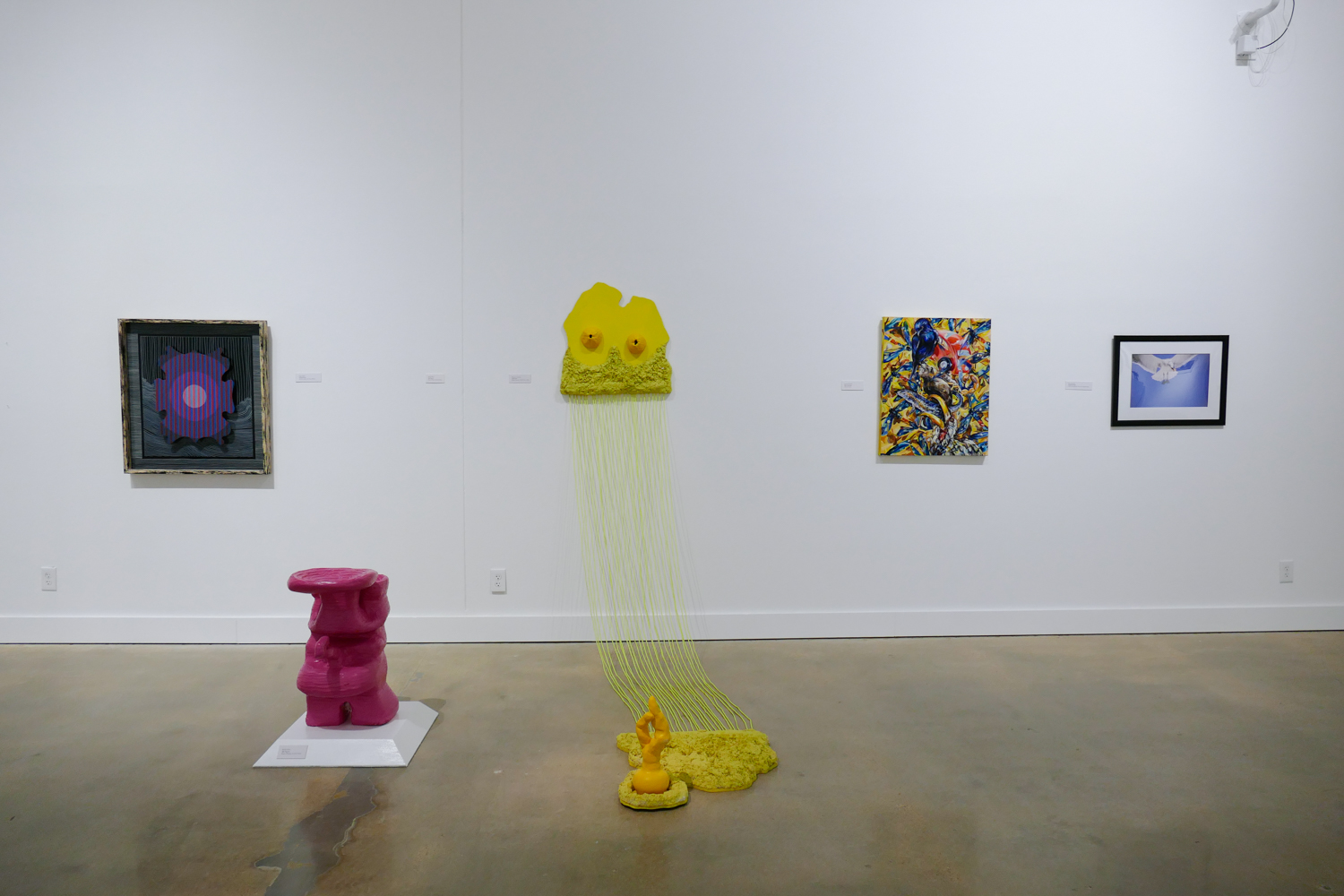 35th Annual Juried Student Exhibition - Installation Views