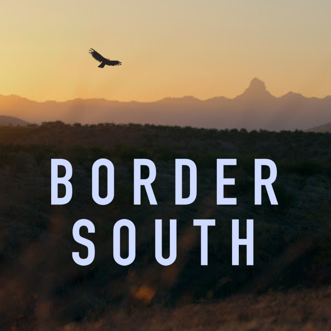 Border South large film image