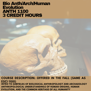 Bio Anthropology course