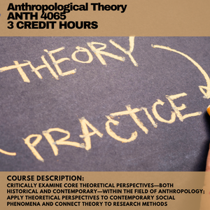 anthropological theory