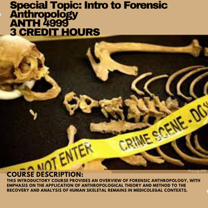 forensic anthropology
