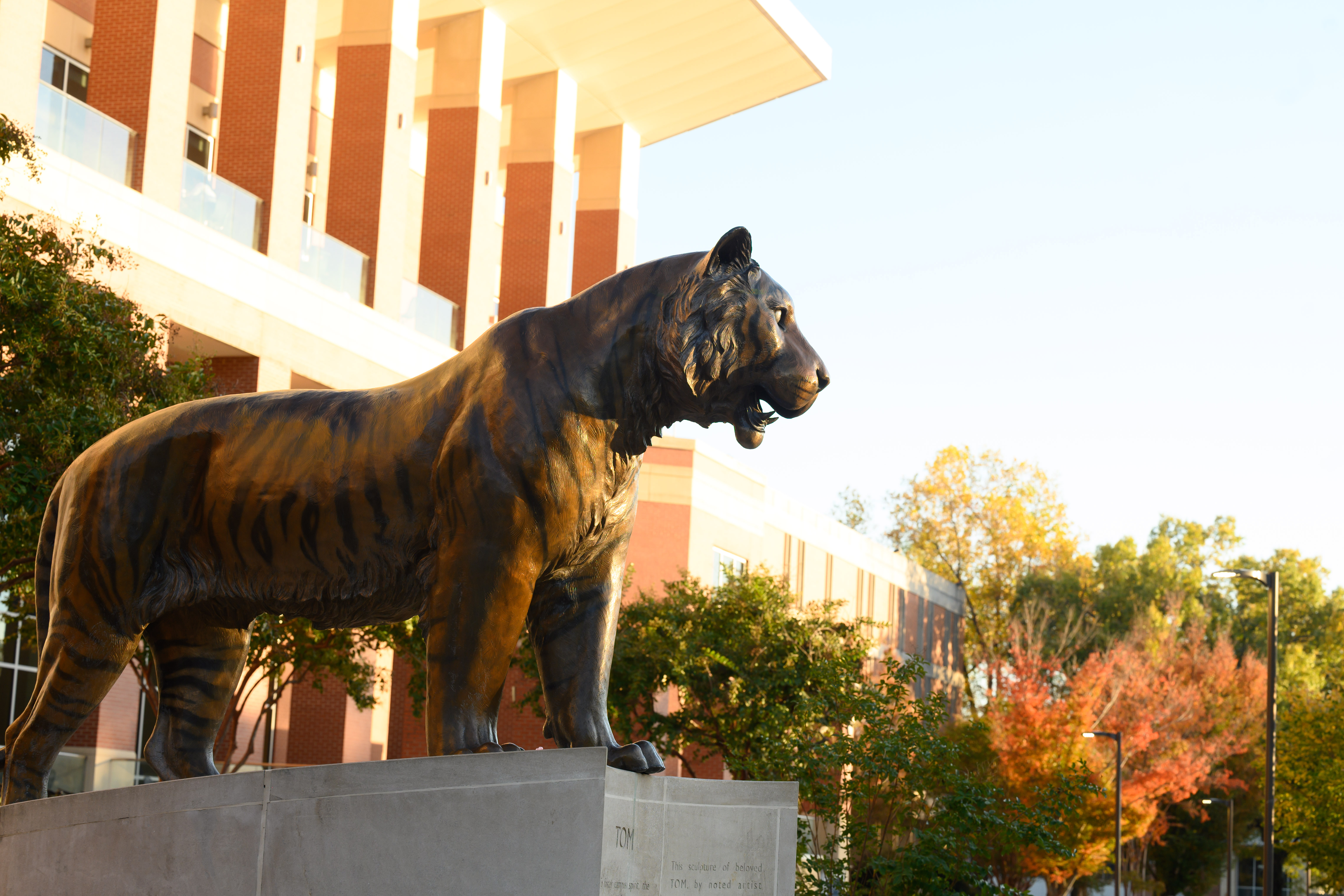 Tom Tiger statue