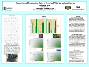 Comparison of Germination Rates of Crops and Wild Agricultural Species