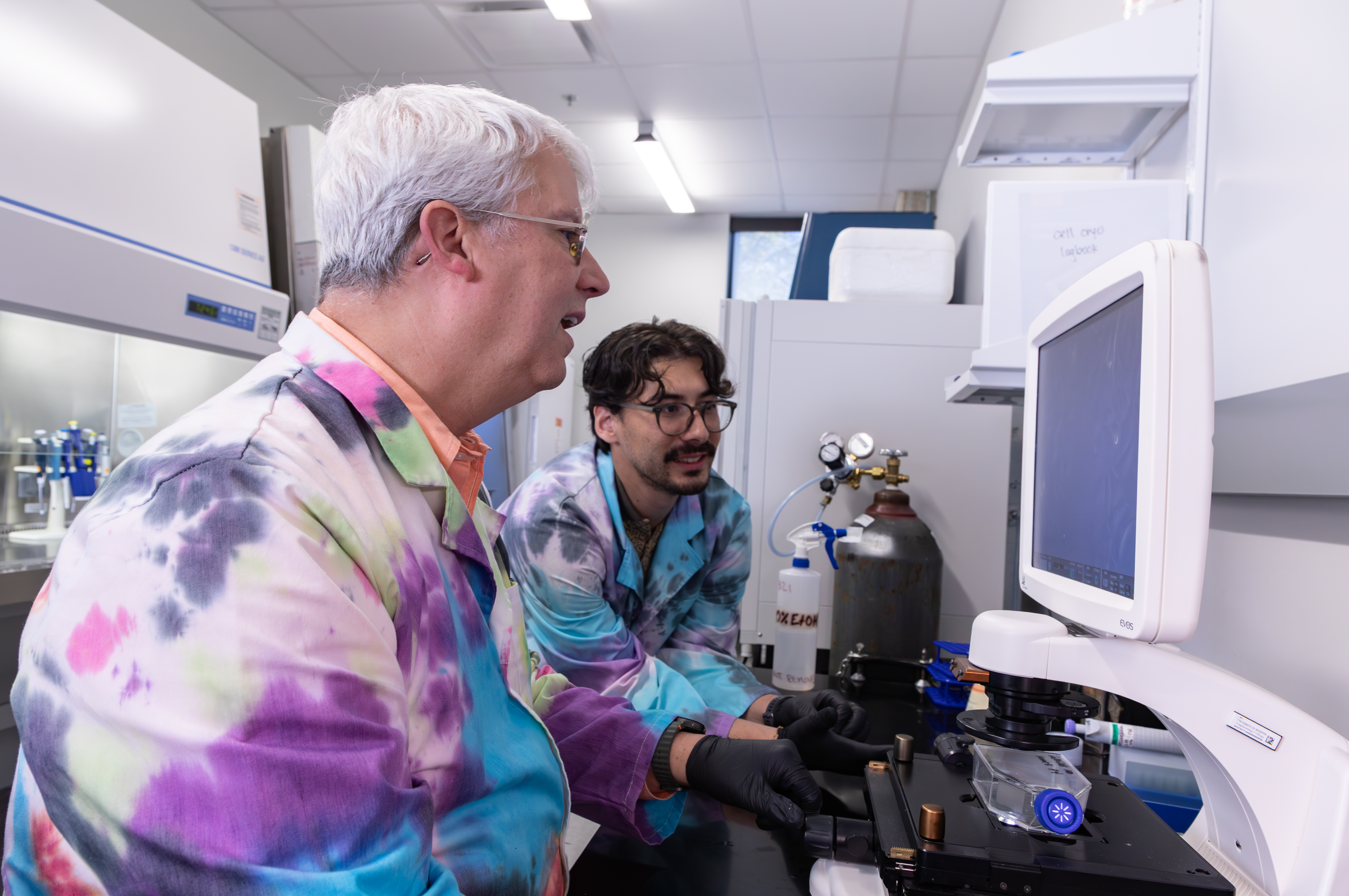 Biomedical Engineering