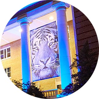 Admin Bldg with Tiger and Lights