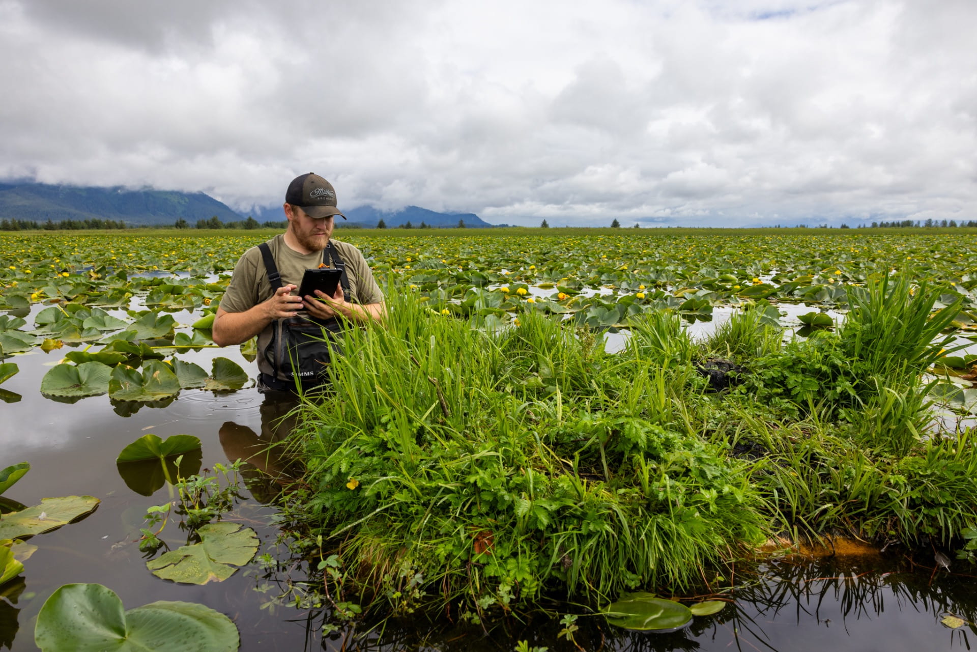 Recommended size: 800 × 600 px Student Studying Wetlands