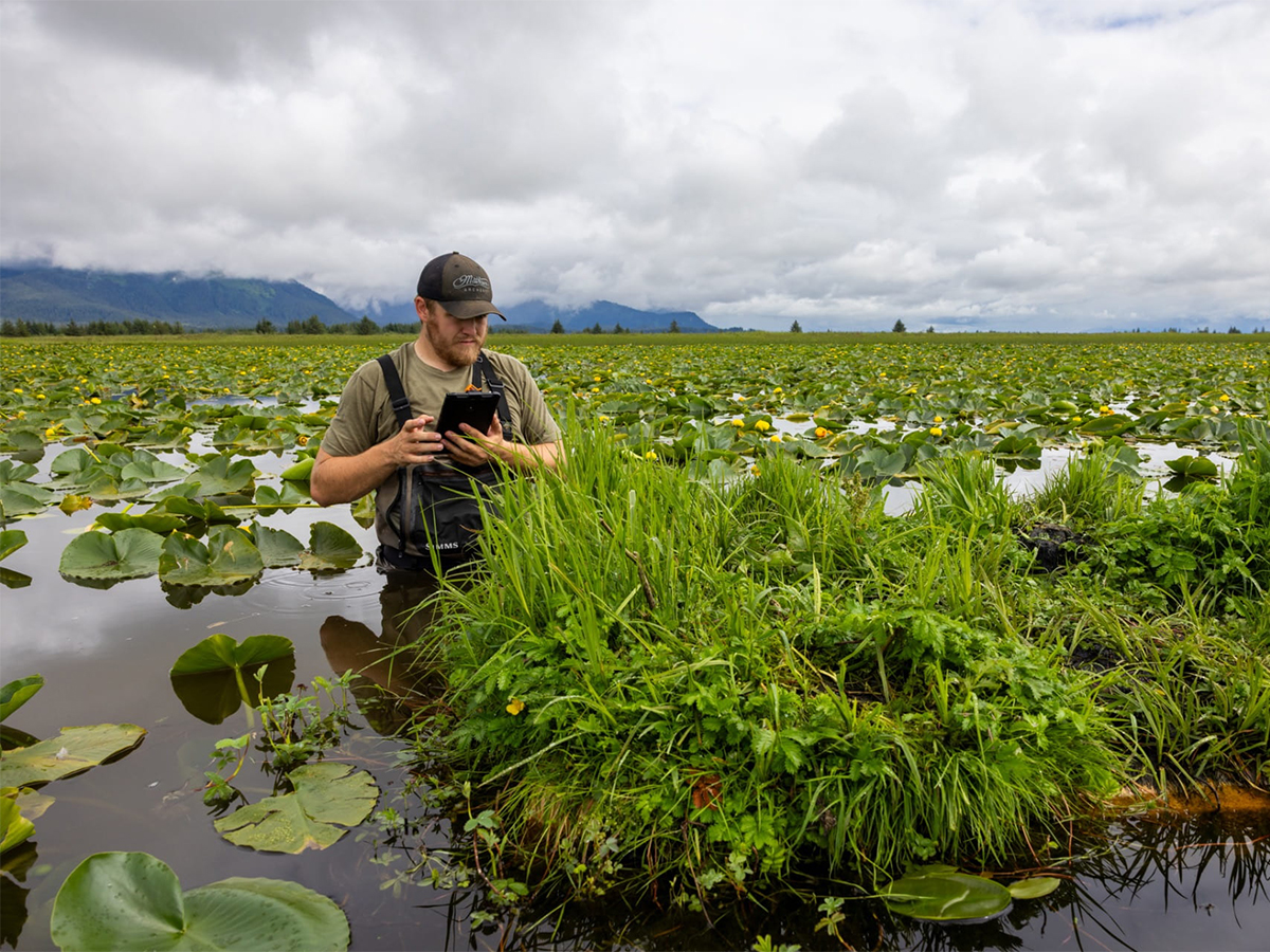 Recommended size: 800 × 600 px Student Studying Wetlands