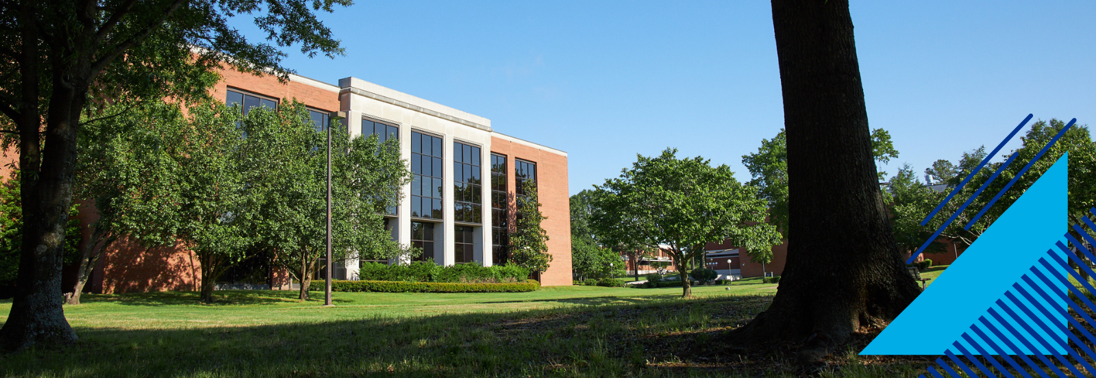 Front of the U of M Library