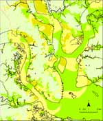 Charleston Scenario Liquefaction Hazard Map