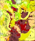 Charleston Scenario Liquefaction Hazard Map