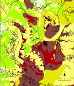 Charleston Scenario Liquefaction Hazard Map