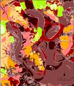 Charleston Scenario Liquefaction Hazard Map