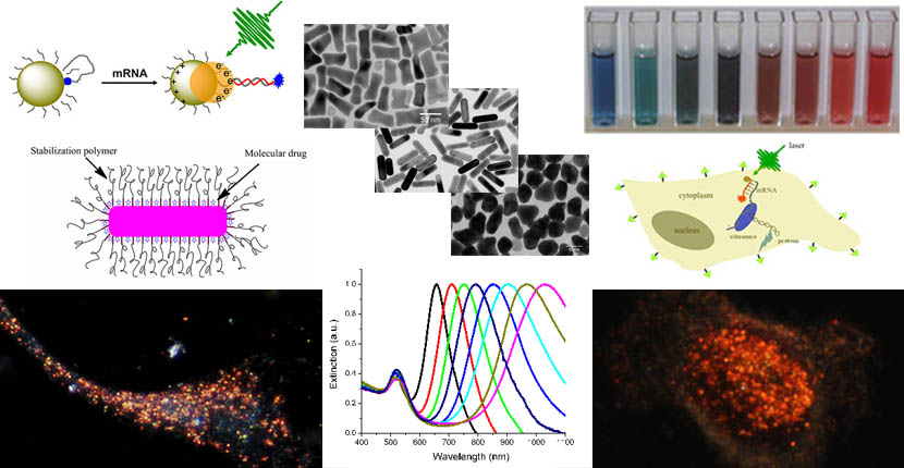 Dr. Xiaohua Huang's Nanomedicine Research Group at the UofM