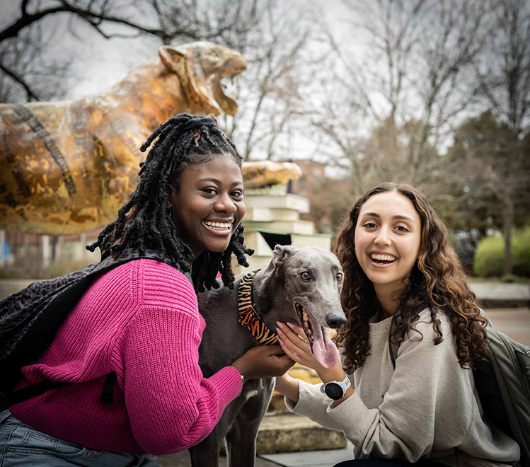 University of memphis students - Therapy Dogs on campus