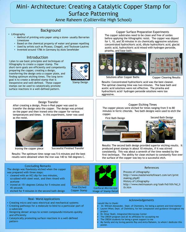 Anne Raheem poster submitted summer 2013