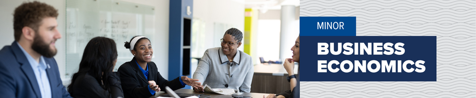 Minor - Business Economics Minor - Business Economics