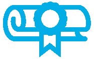 Award certificate icon