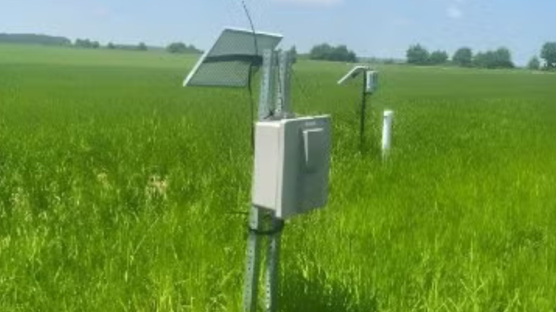 Precision Agriculture Sensing Systems