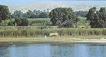 Across the Nile River