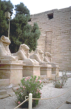Ram-headed sphinxes at Karnak