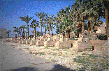 Avenue of sphinxes