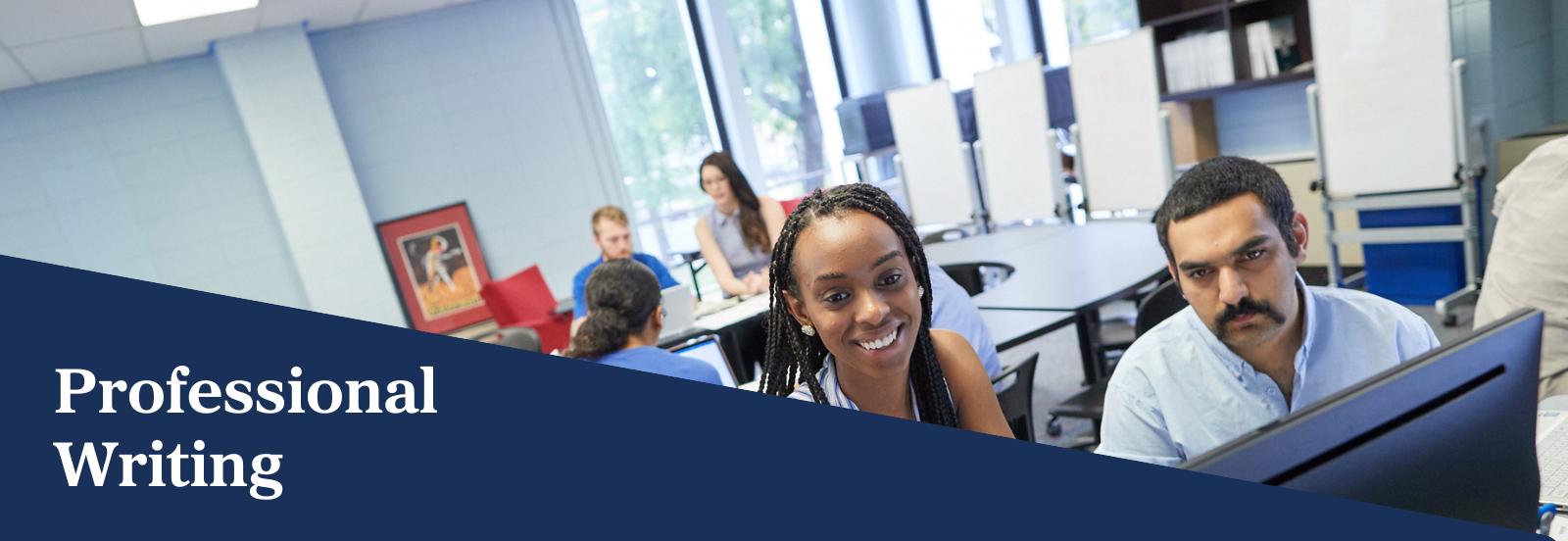 Professional Writing Banner