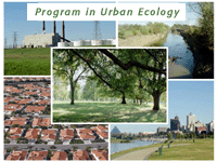 Program in Urban Ecology