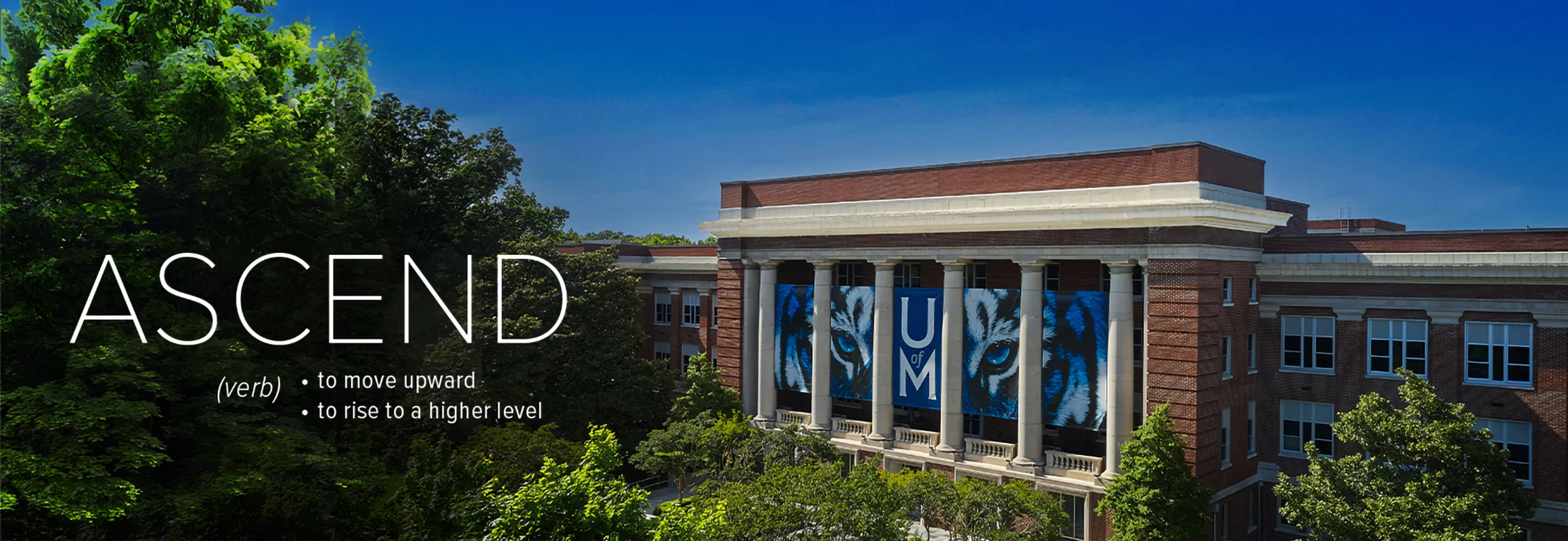 Strategic Plan: ASCEND - to move upward and to rise to a higher level