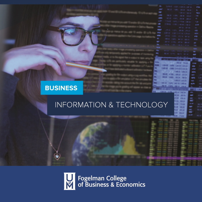 Undergraduate Business Information & Technology (BIT)