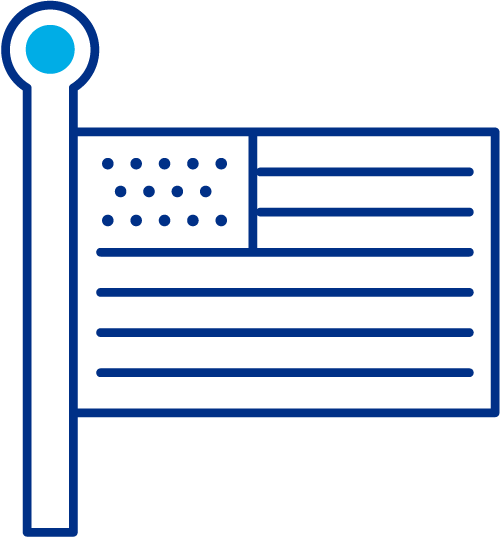 flag icon