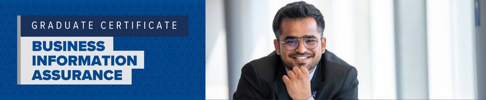 Business Information Assurance