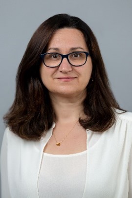 Velma Zahirovic-Herbert, Professor