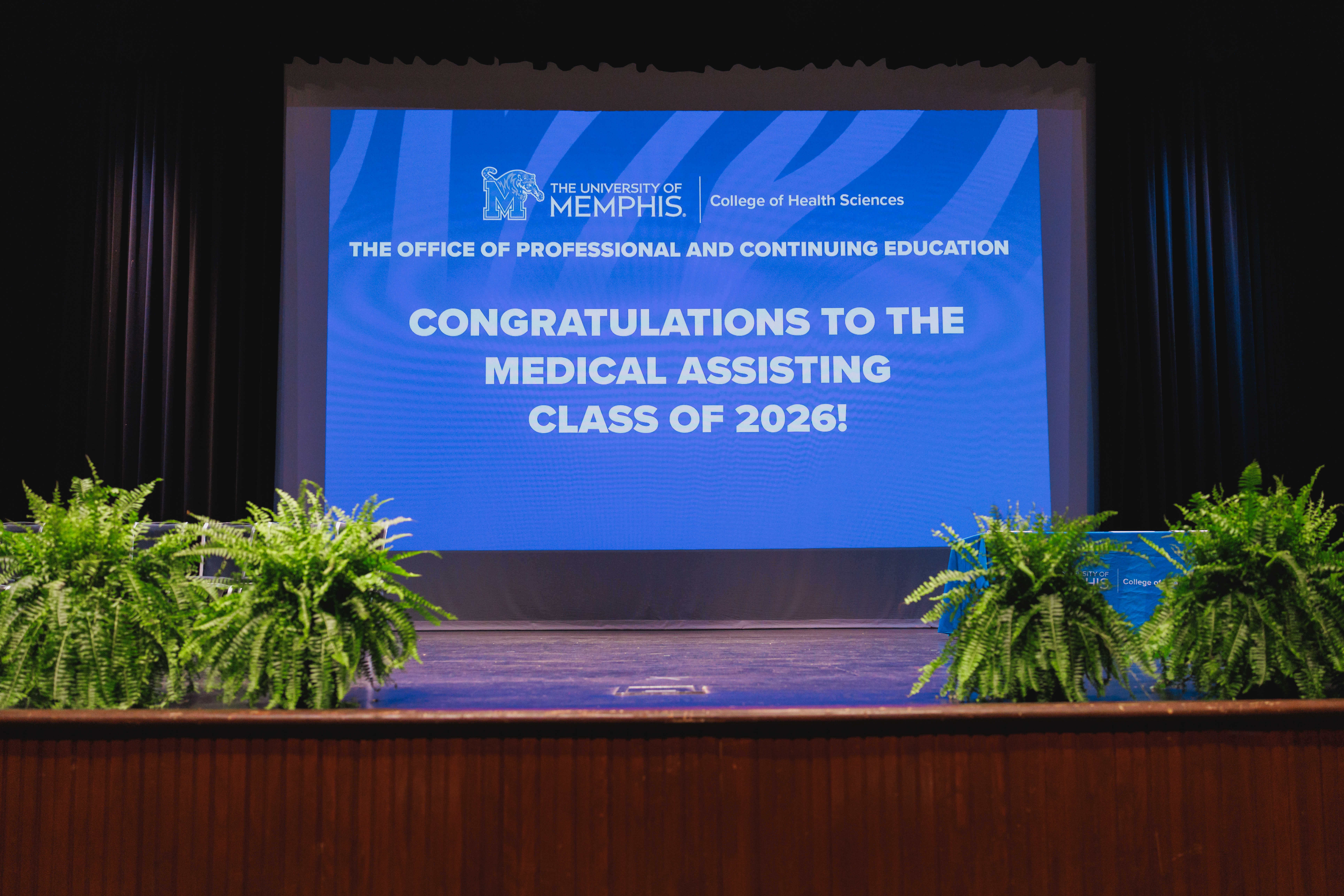 Recommended size: 800 × 600 px placeholder