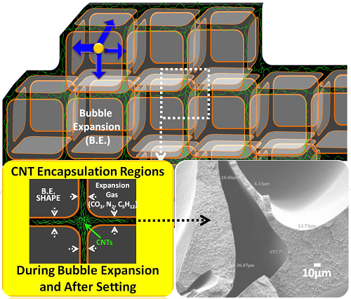 Schematic drawing illustrating PS-CNT Foam structure emphasizing CNT encapsulation regions (with sub-integrated SEM image of (a) actual PS-CNT foam nanocomposite).