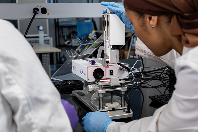 student working in the lab