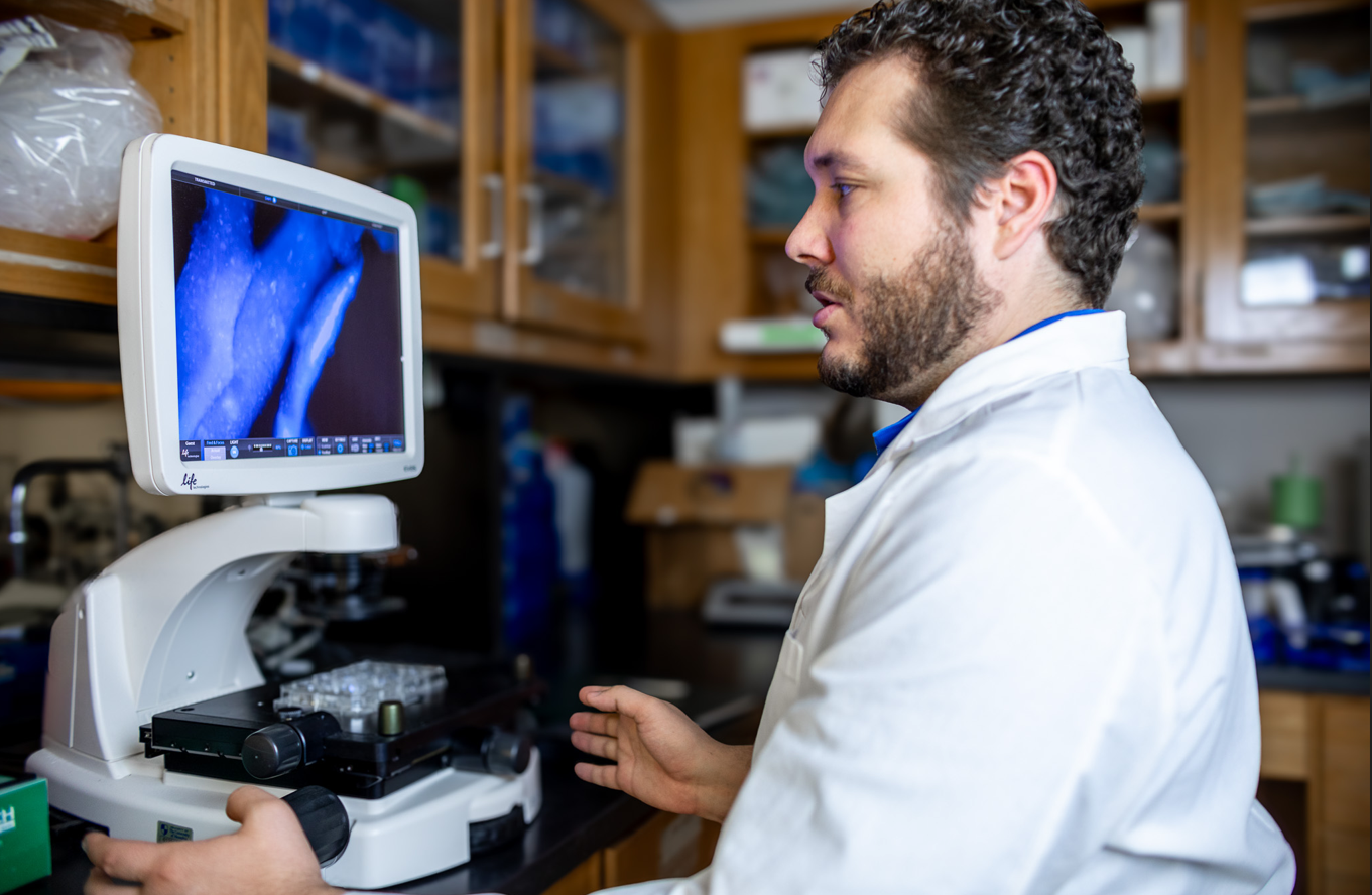 BME Regulatory Device Certificate