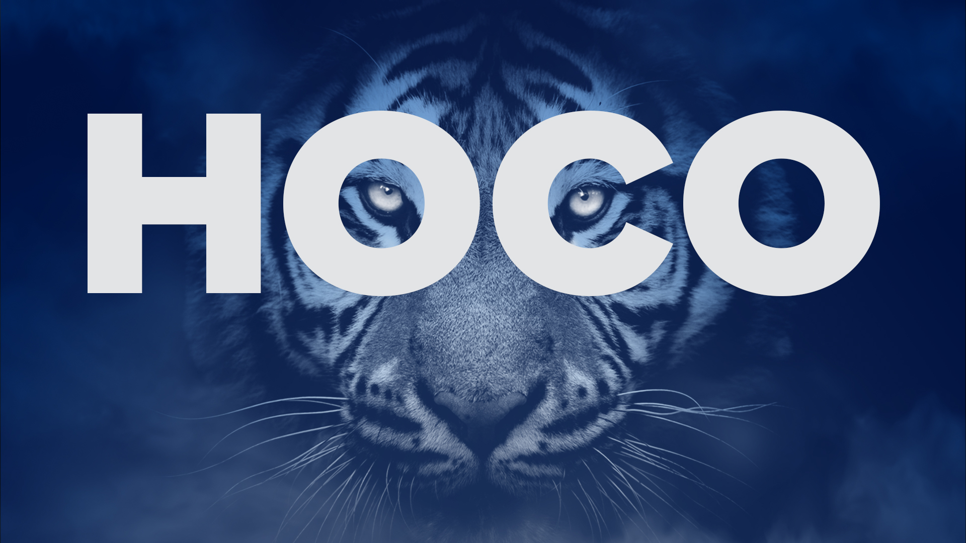 image of a close up of a tiger face with the overlay text of "HOCO"