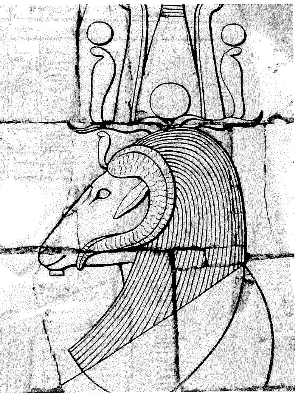 drawing Amun bark aegis