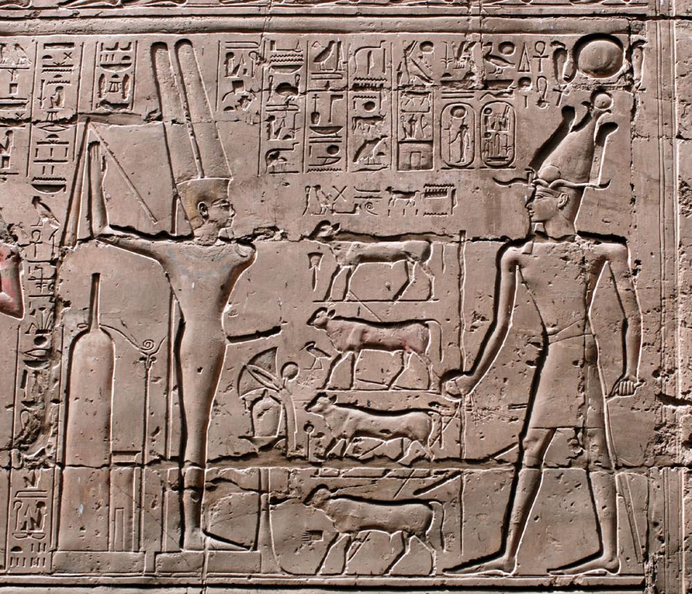 Ramesses II driving calves