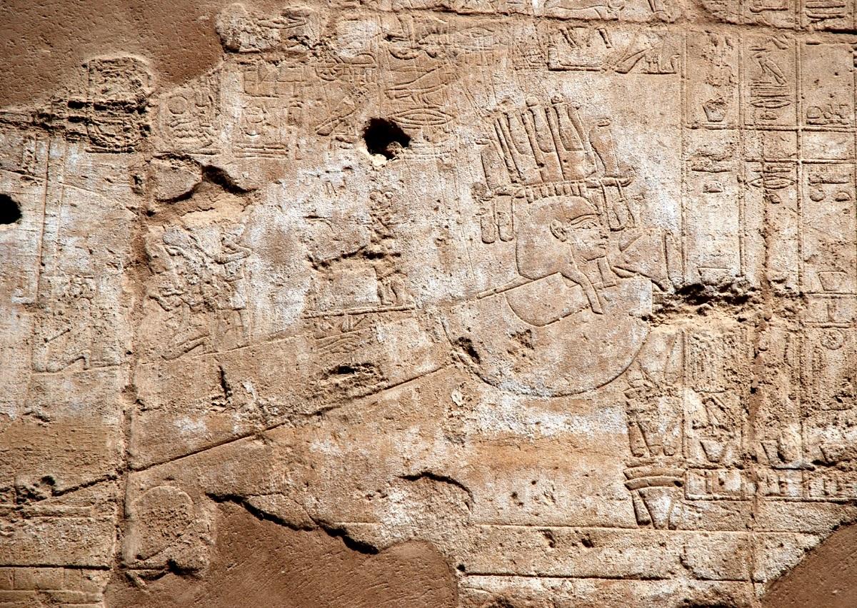 bark aegis horemheb