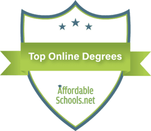 idt top online degree