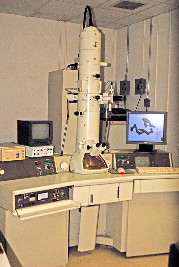 Transmission Electron Microscope JEOL EM-2100 EX II