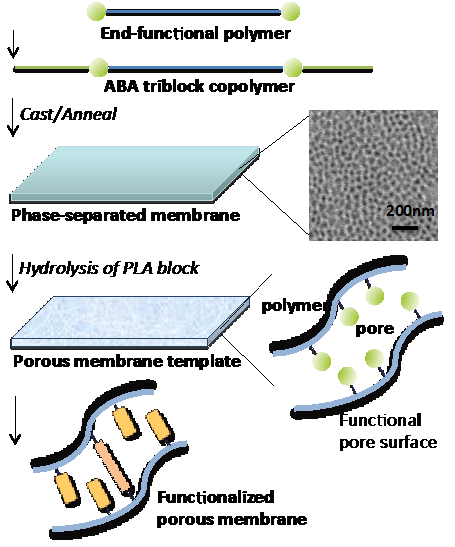 End-functional polymer