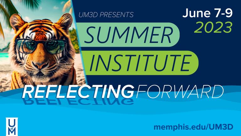 Summer Institute UM3D