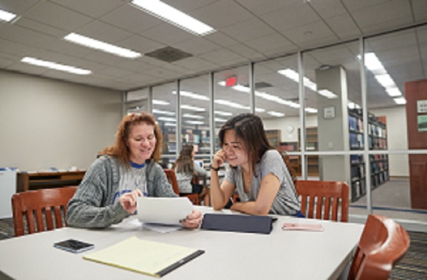 Tigers Write Tigers Write