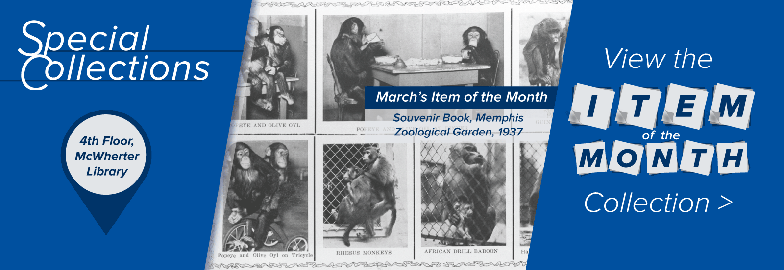 Special Collections on the 4th floor of Ned McWherter Library. Your space for inspiration, discovery and creation