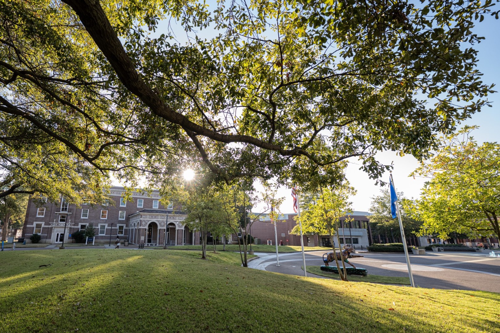 The University of Memphis campus autumn afternoon Photo credit: Wendy Adams