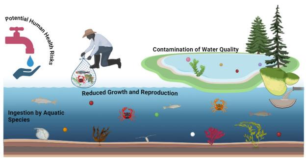 microplastic in water